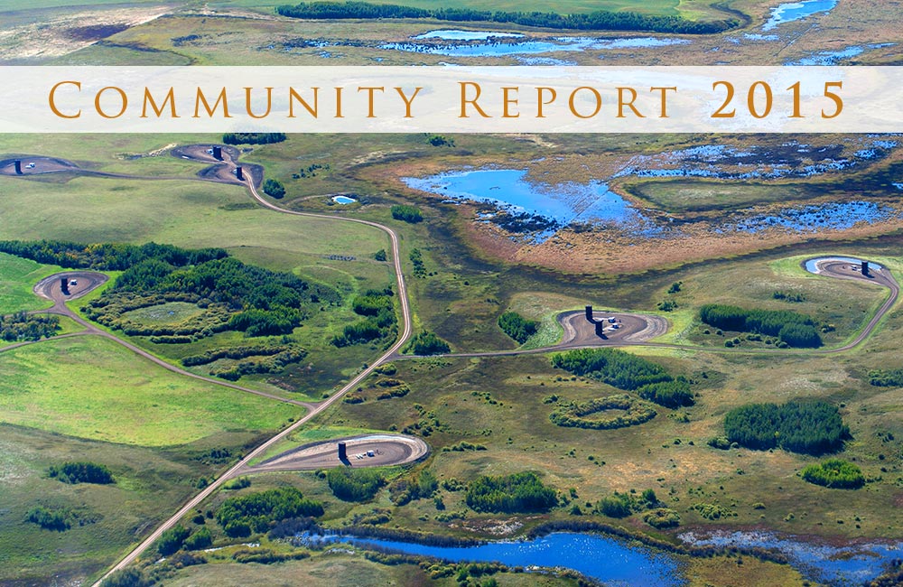 Community Report 2015